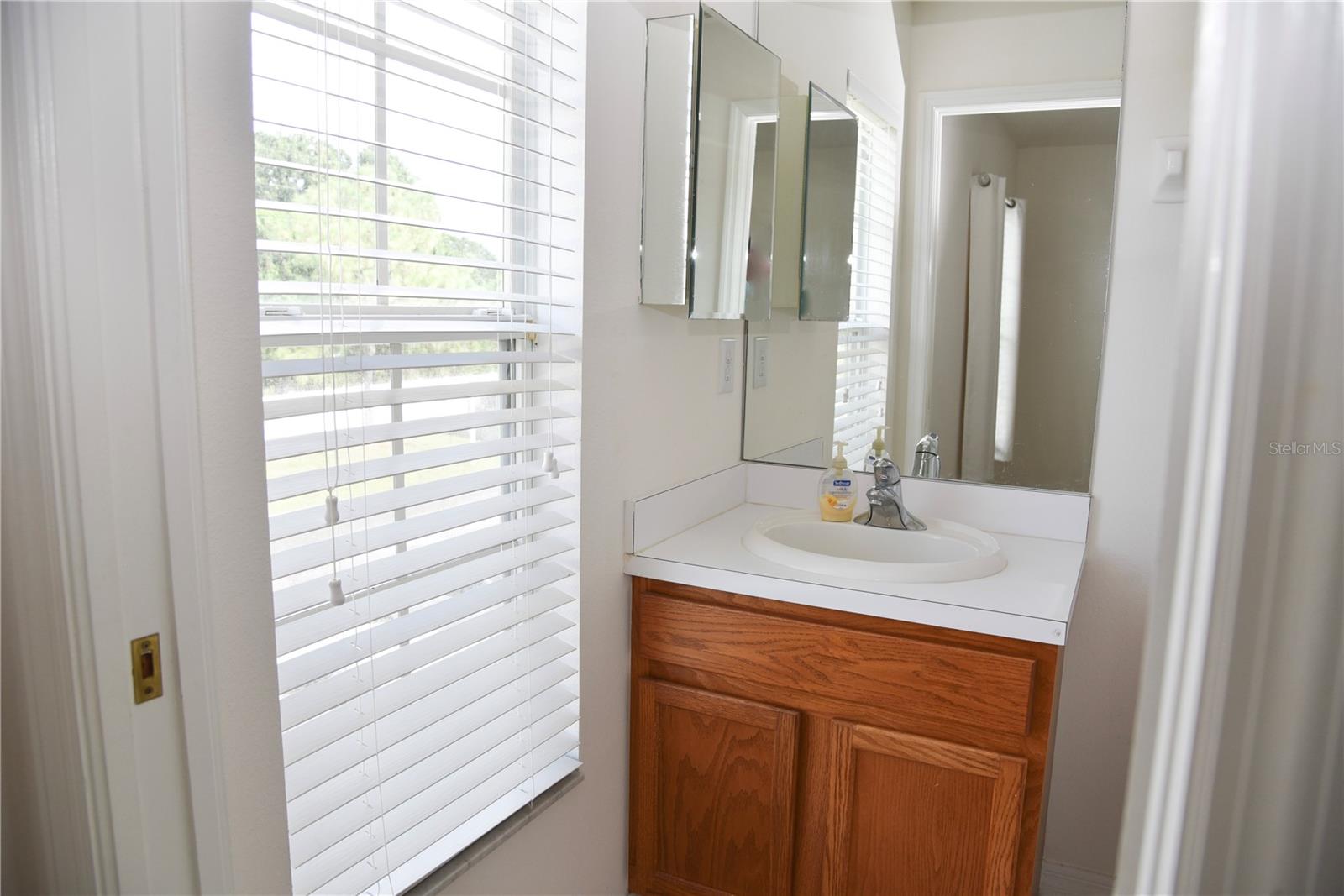 12907 KINGS CROSSING DR, GIBSONTON, FL, 33534