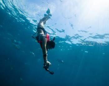 6 E PHLOX CT, HOMOSASSA, FL, 34446