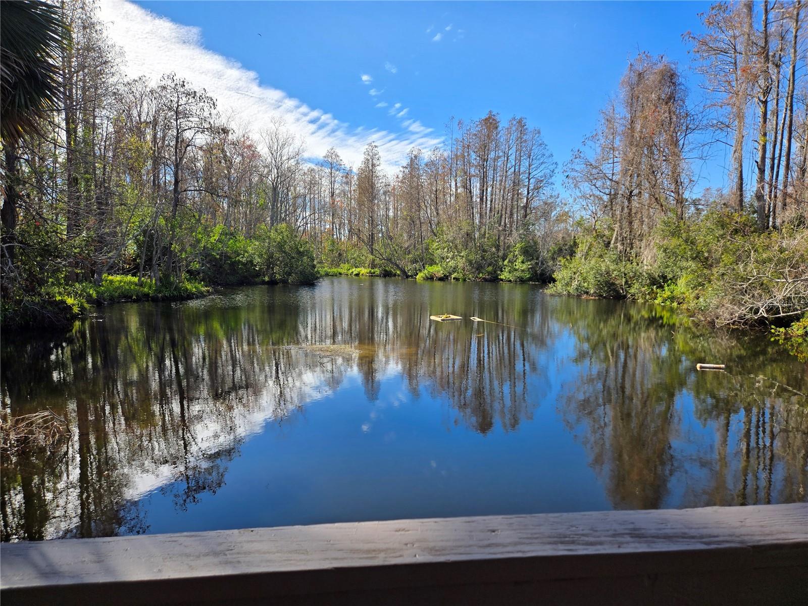 643 FAIRMONT AVE #B, SAFETY HARBOR, FL, 34695