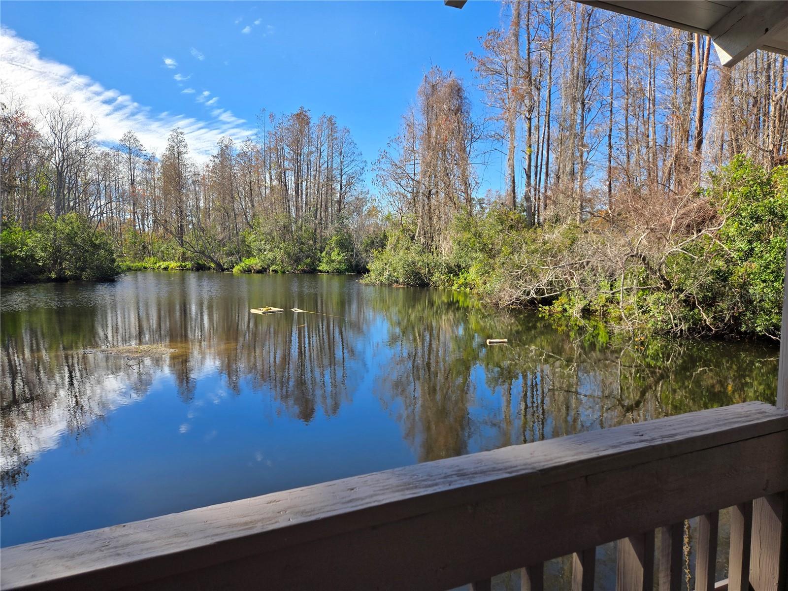 643 FAIRMONT AVE #B, SAFETY HARBOR, FL, 34695