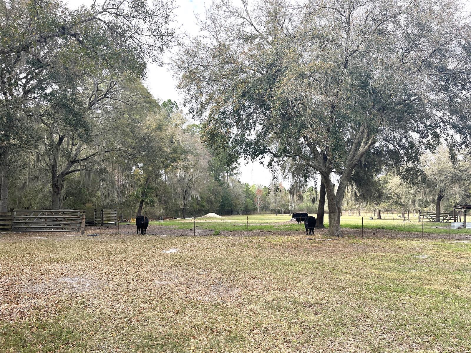 30737 ELAM RD, WESLEY CHAPEL, FL, 33545