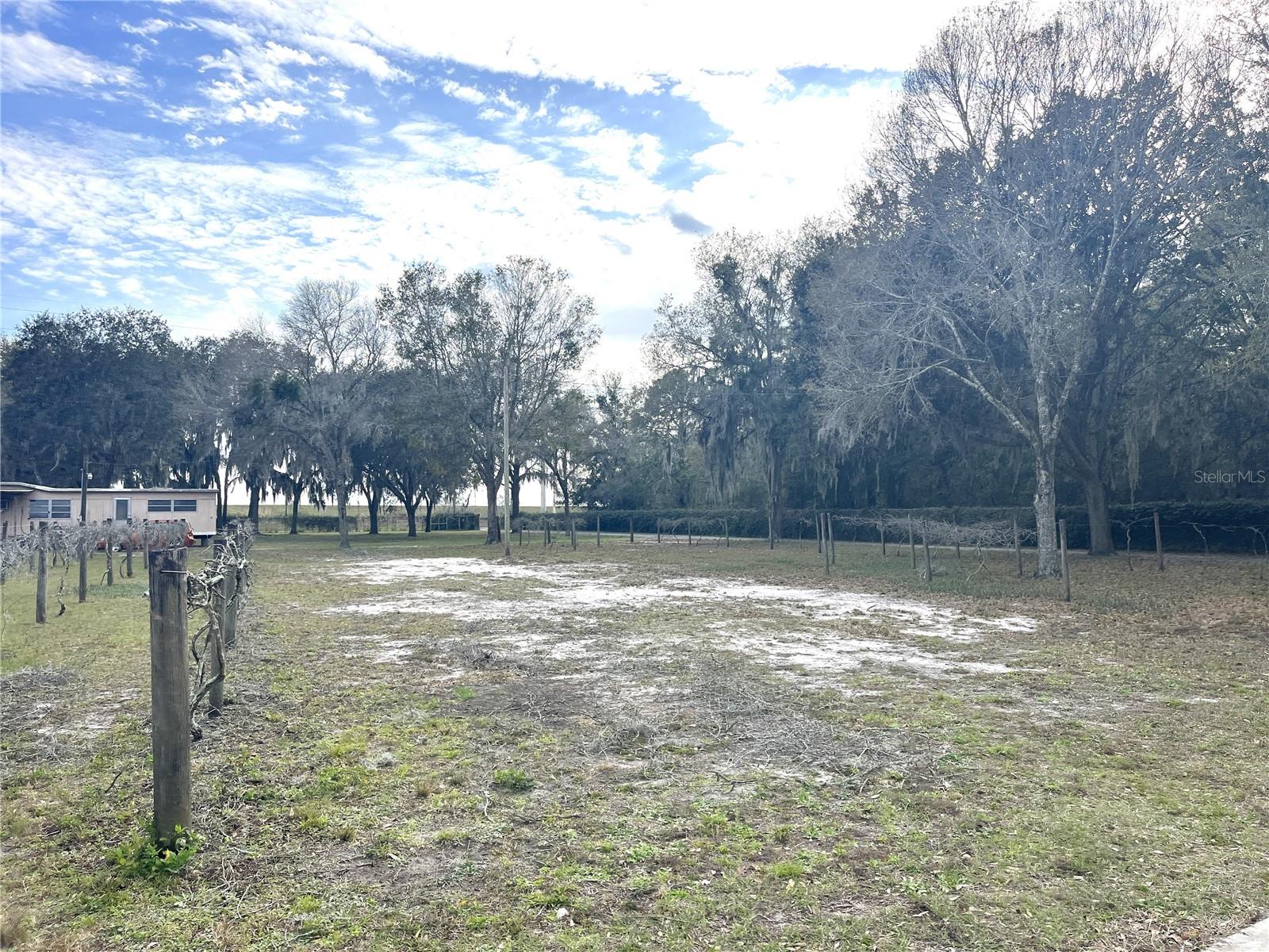 30737 ELAM RD, WESLEY CHAPEL, FL, 33545