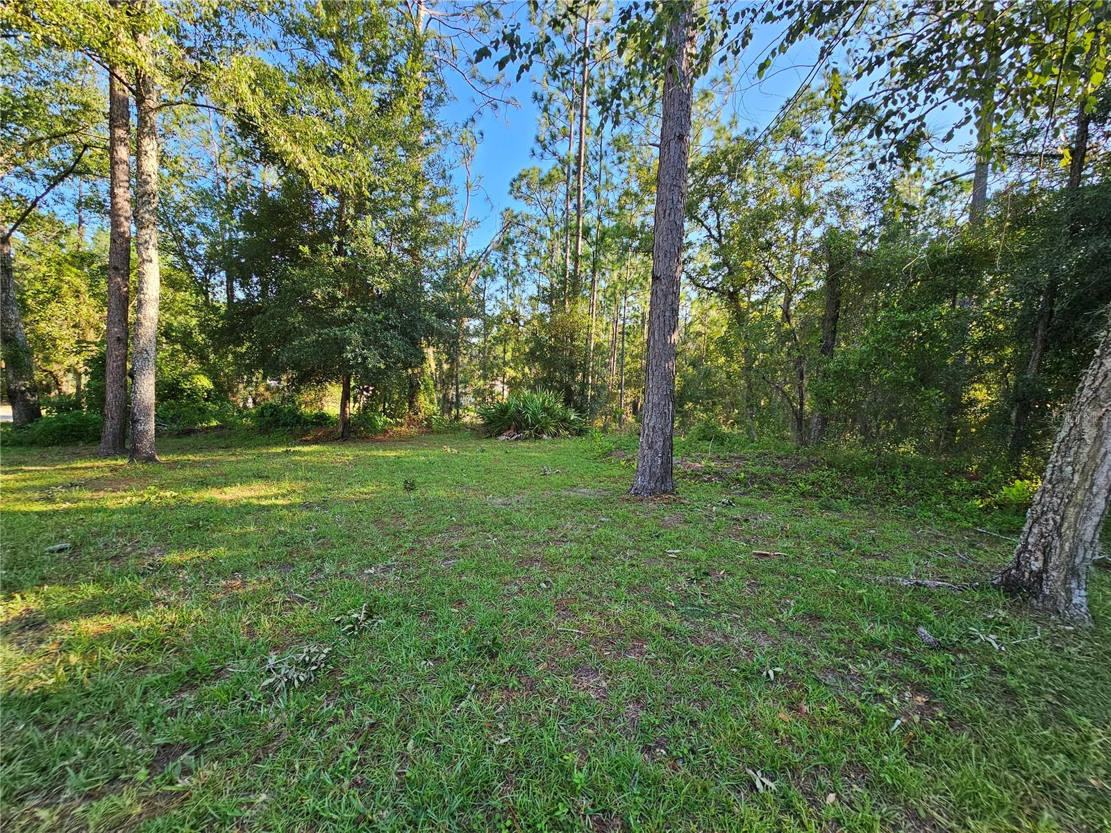9180 SW 202ND AVENUE ROAD, DUNNELLON, FL, 34431