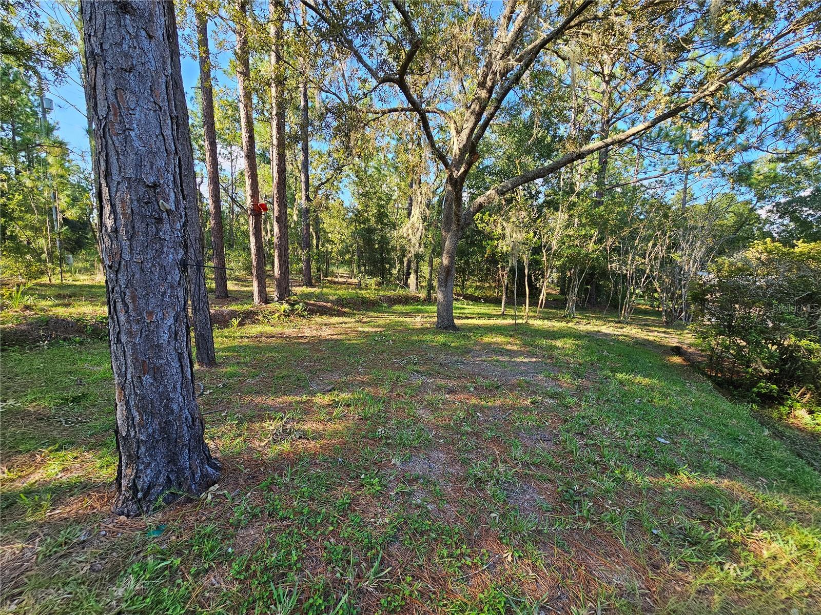 9180 SW 202ND AVENUE ROAD, DUNNELLON, FL, 34431