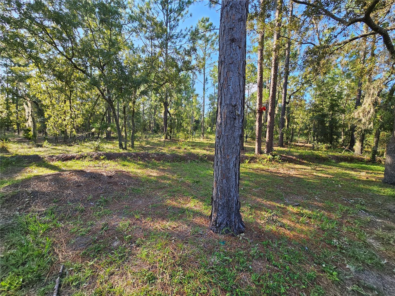 9180 SW 202ND AVENUE ROAD, DUNNELLON, FL, 34431