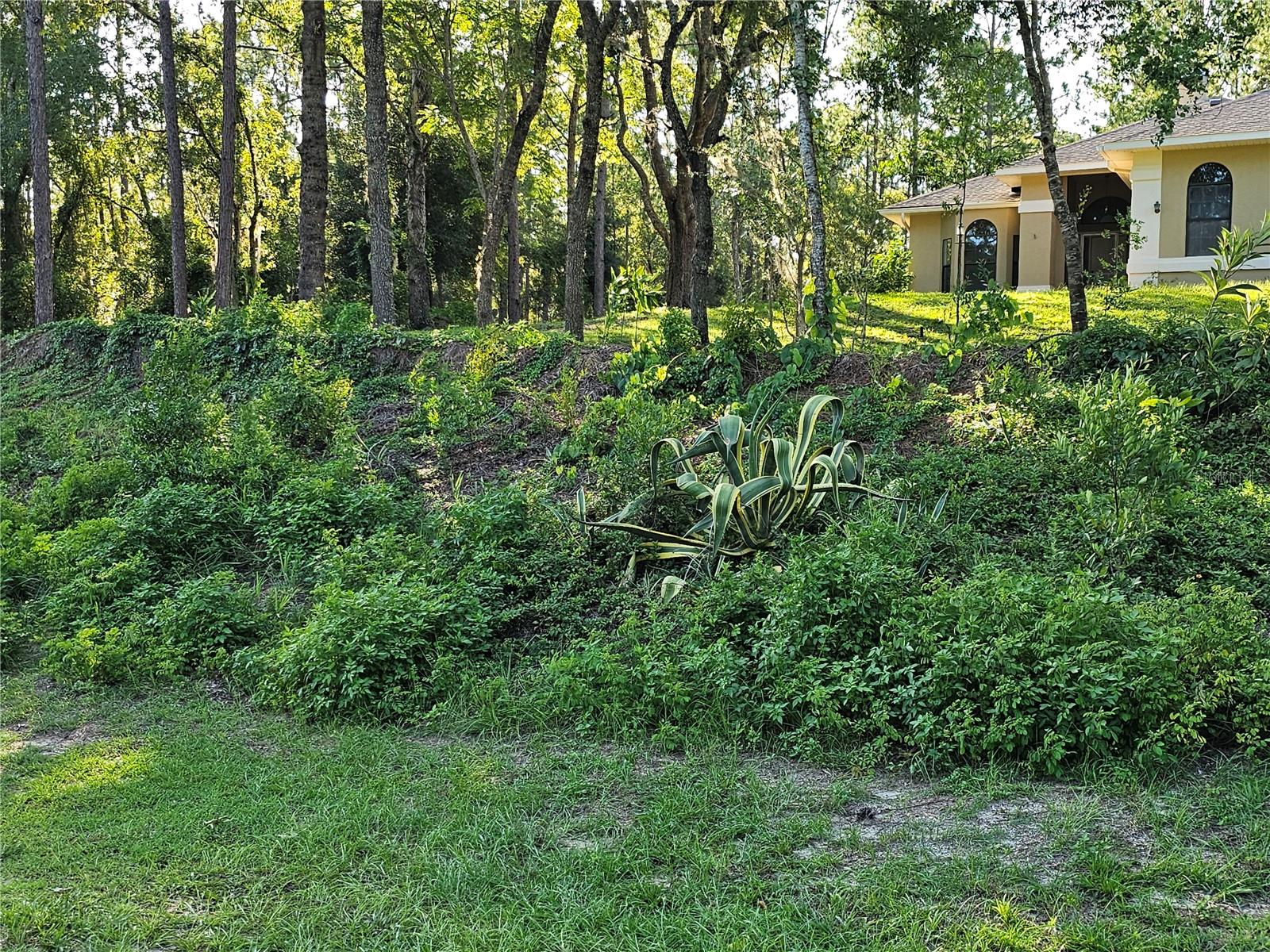 9180 SW 202ND AVENUE ROAD, DUNNELLON, FL, 34431