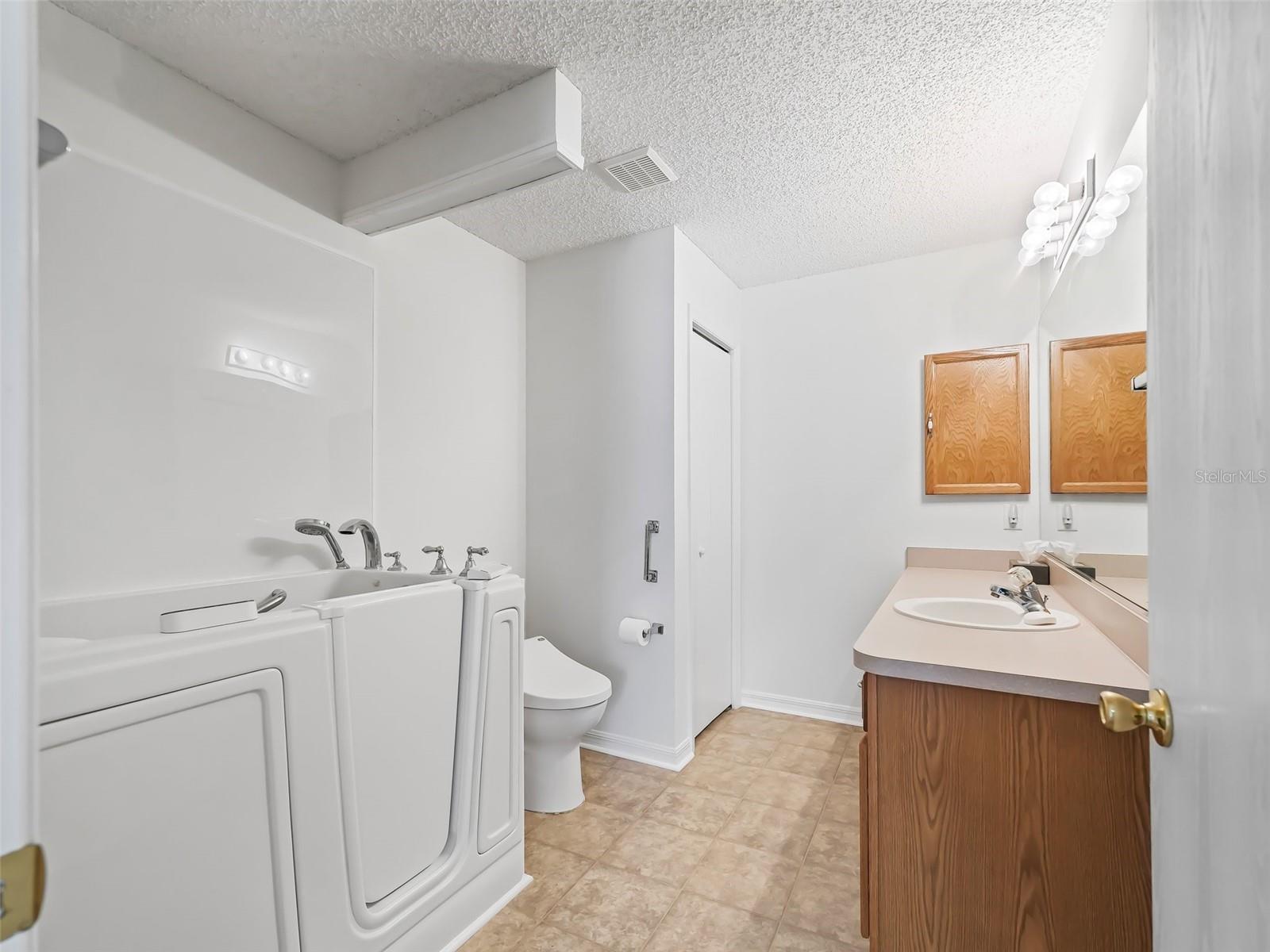 3330 RESTON DR, THE VILLAGES, FL, 32162