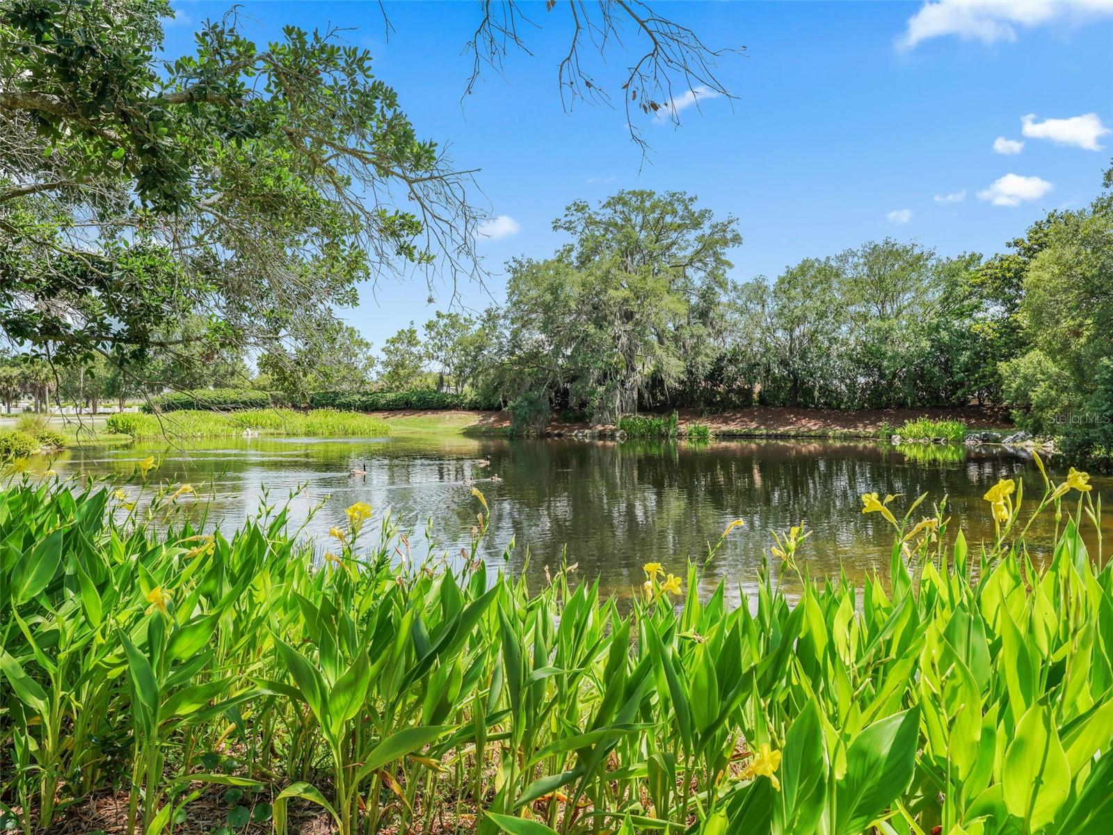 3330 RESTON DR, THE VILLAGES, FL, 32162