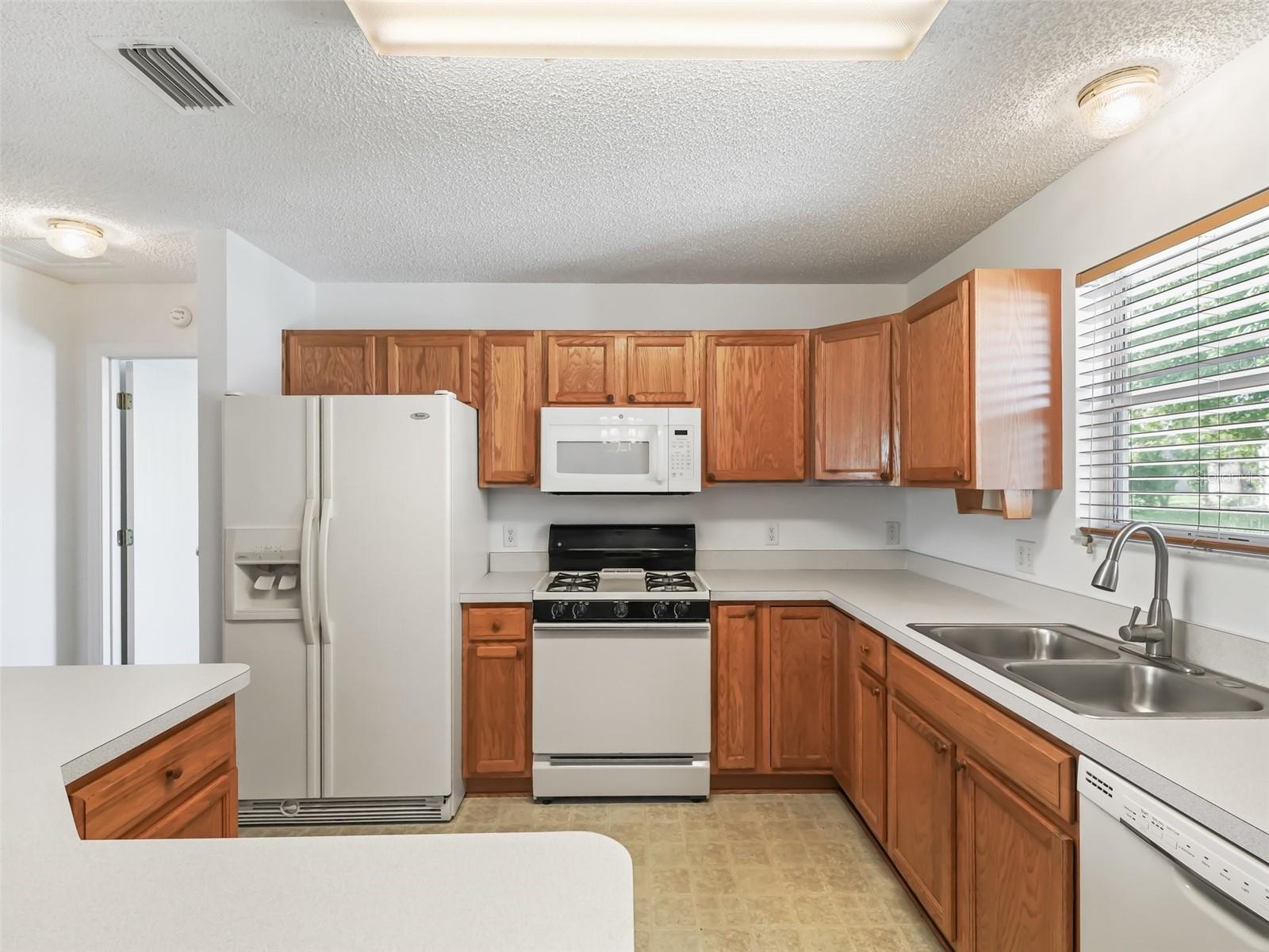 3330 RESTON DR, THE VILLAGES, FL, 32162