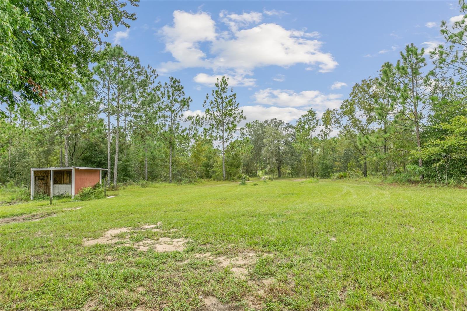 9451 NE 111TH ST, ARCHER, FL, 32618
