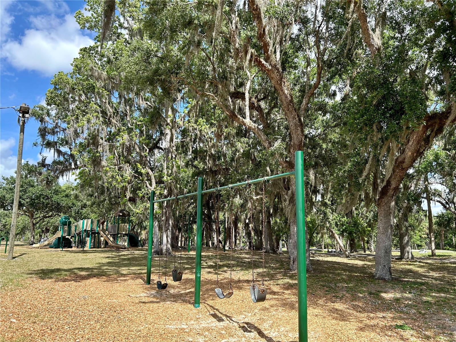 3456 ELM ST, ZOLFO SPRINGS, FL, 33890