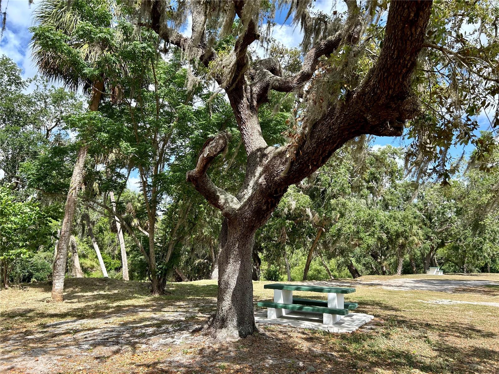 3456 ELM ST, ZOLFO SPRINGS, FL, 33890