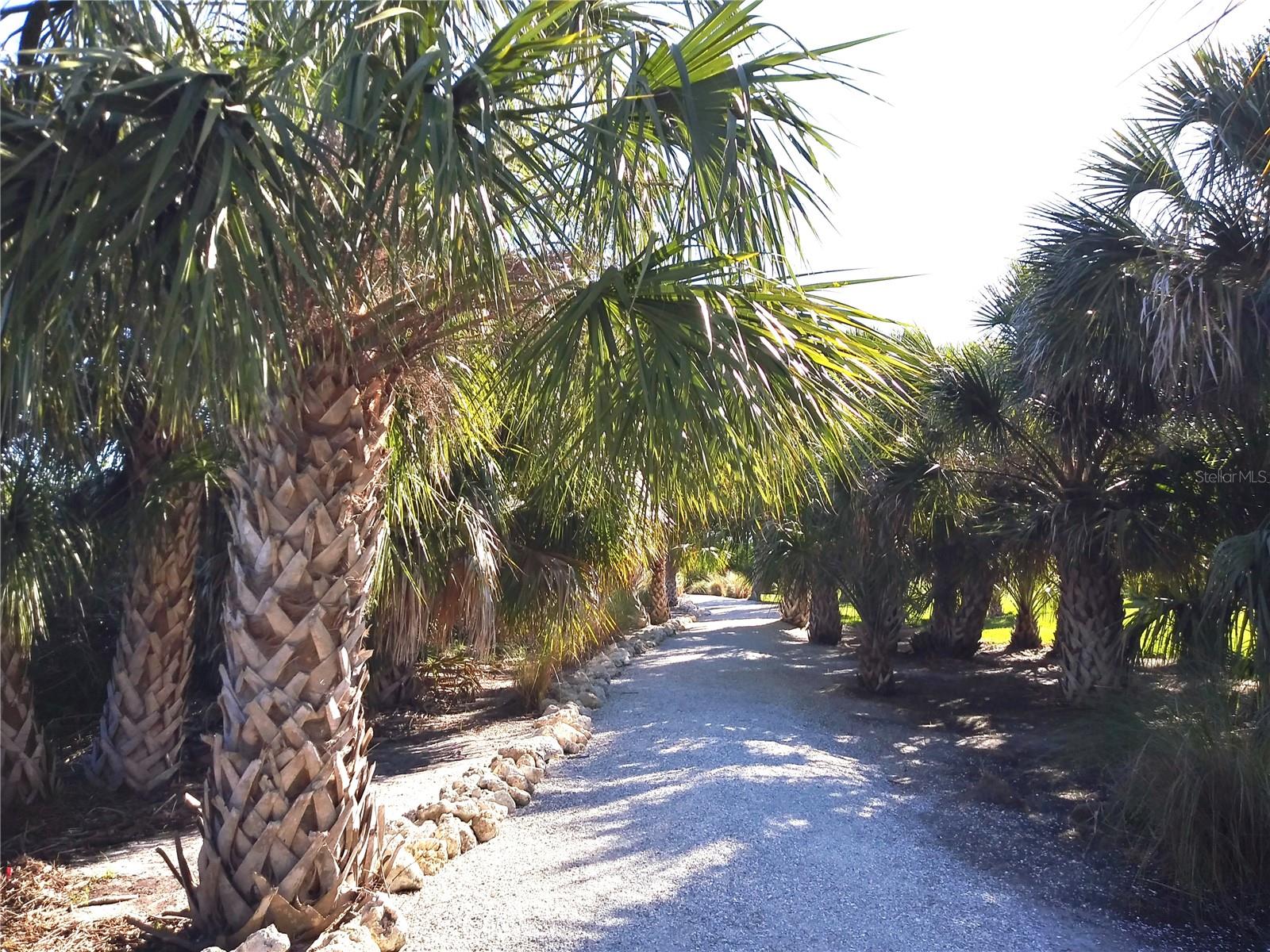 917 RIVERSCAPE ST, BRADENTON, FL, 34208
