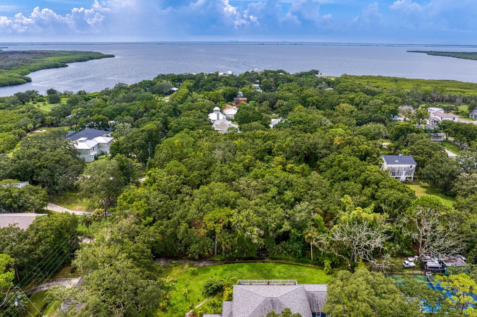 8004 BAY DR, TAMPA, FL, 33635
