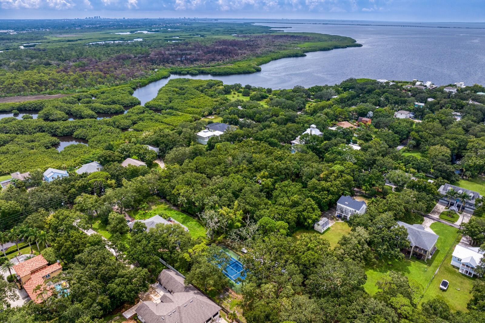 8004 BAY DR, TAMPA, FL, 33635