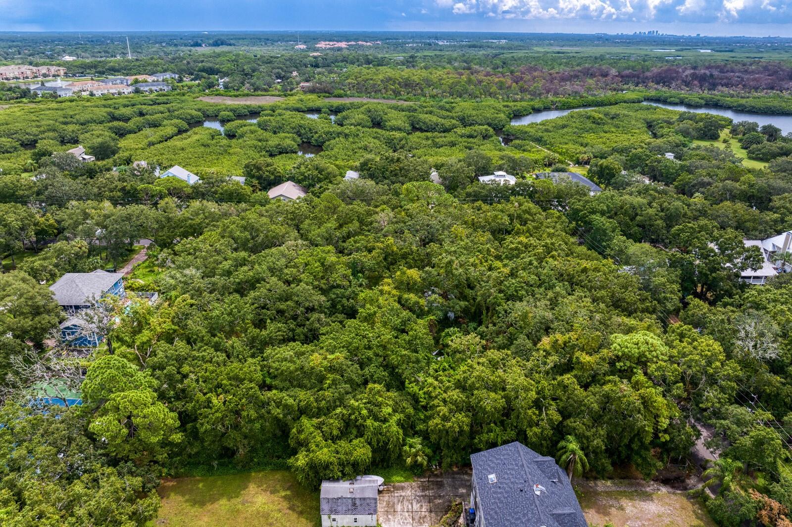 8004 BAY DR, TAMPA, FL, 33635