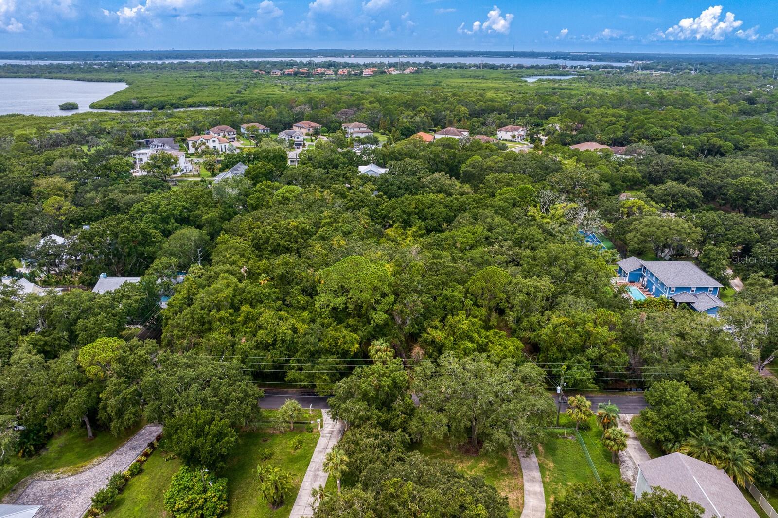 8004 BAY DR, TAMPA, FL, 33635