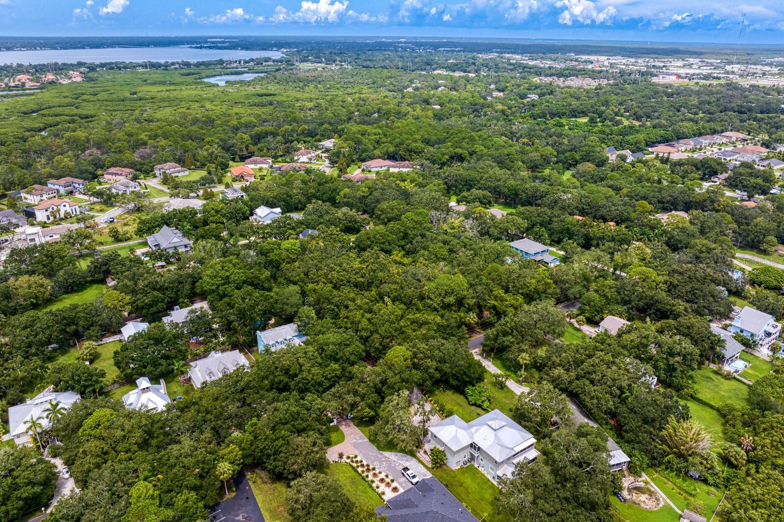 8004 BAY DR, TAMPA, FL, 33635