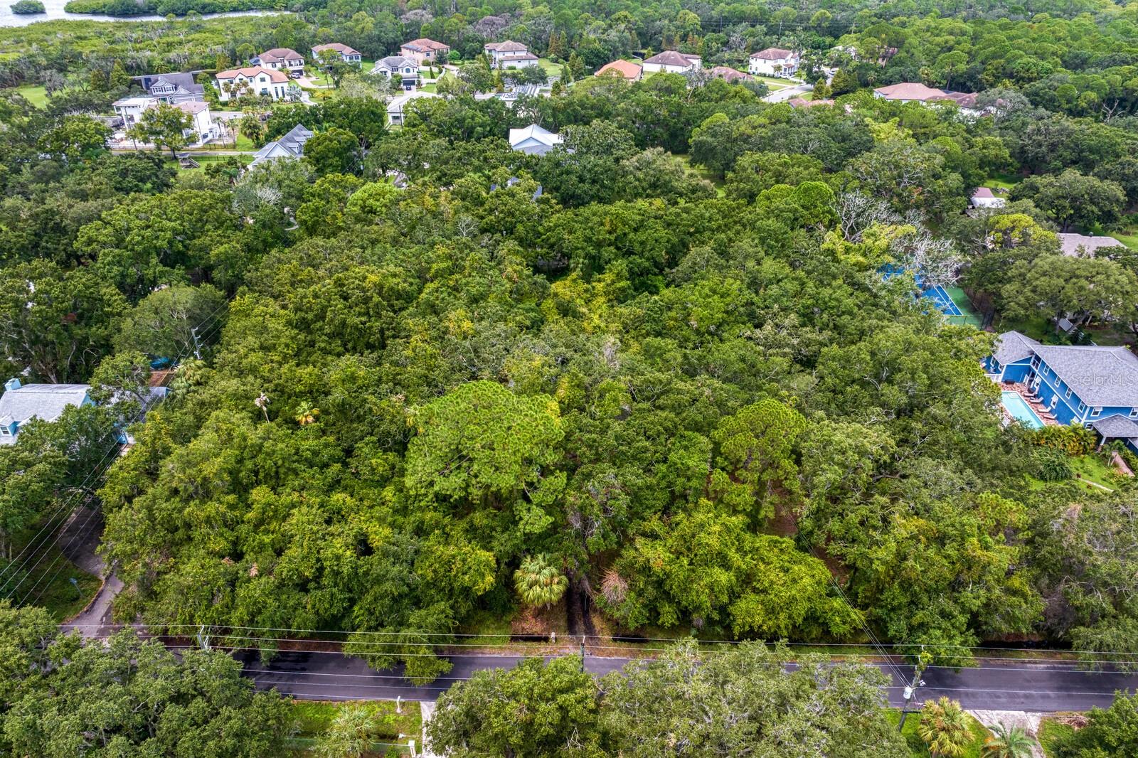 8004 BAY DR, TAMPA, FL, 33635