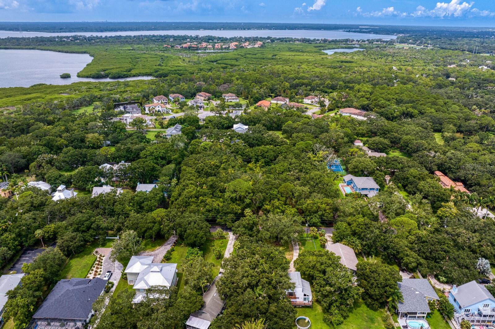 8004 BAY DR, TAMPA, FL, 33635