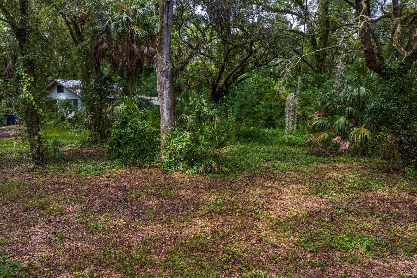 8004 BAY DR, TAMPA, FL, 33635