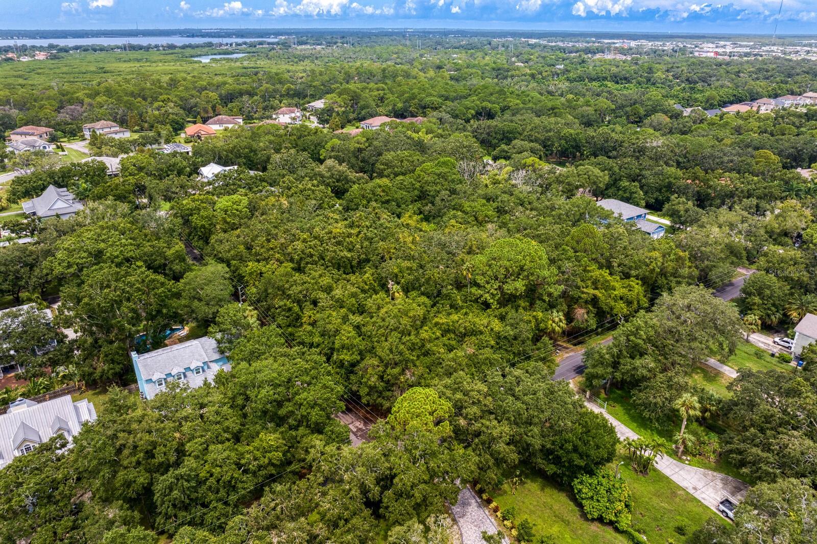 8004 BAY DR, TAMPA, FL, 33635