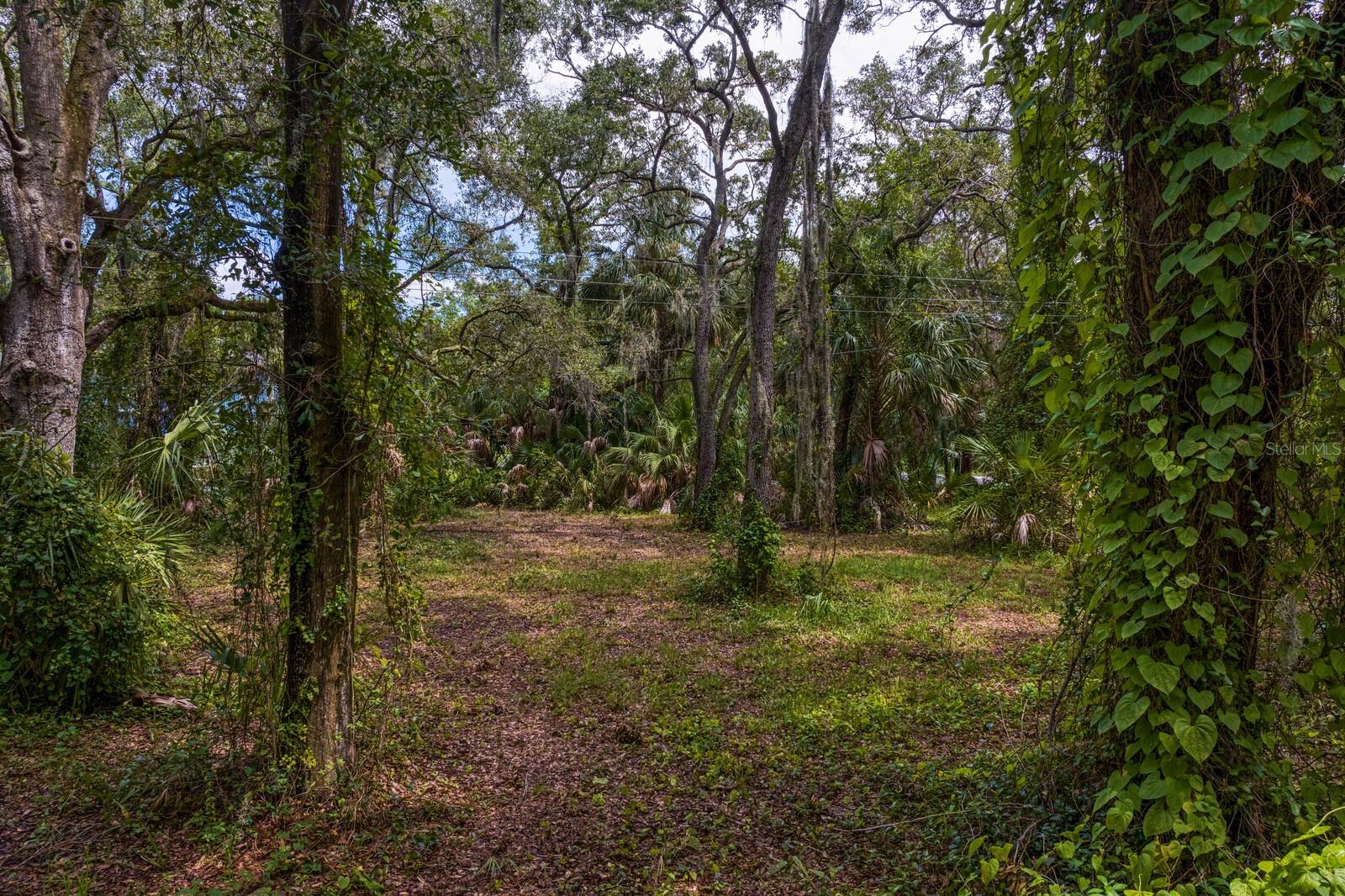 8004 BAY DR, TAMPA, FL, 33635