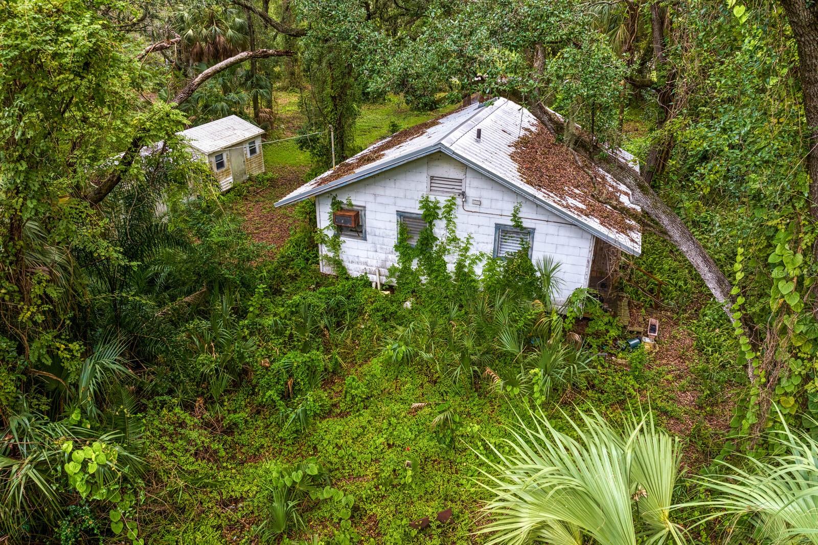 8004 BAY DR, TAMPA, FL, 33635