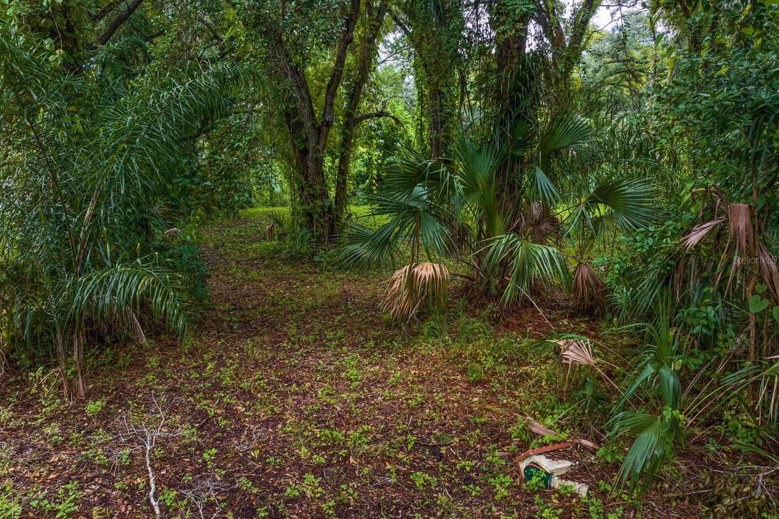 8004 BAY DR, TAMPA, FL, 33635