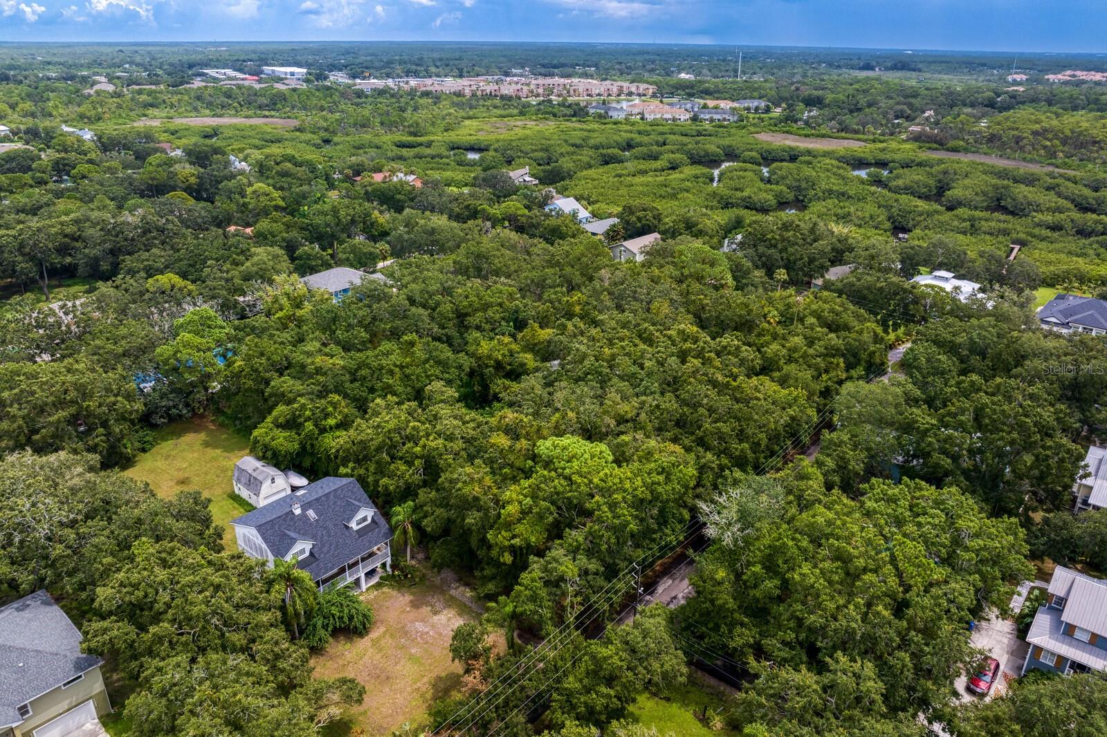 8004 BAY DR, TAMPA, FL, 33635
