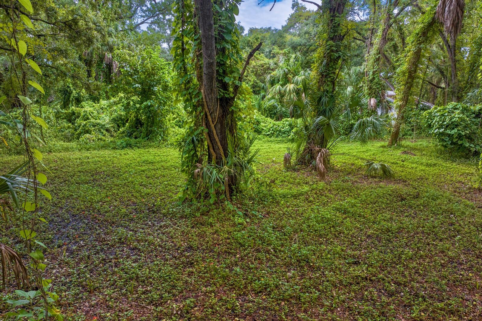 8004 BAY DR, TAMPA, FL, 33635