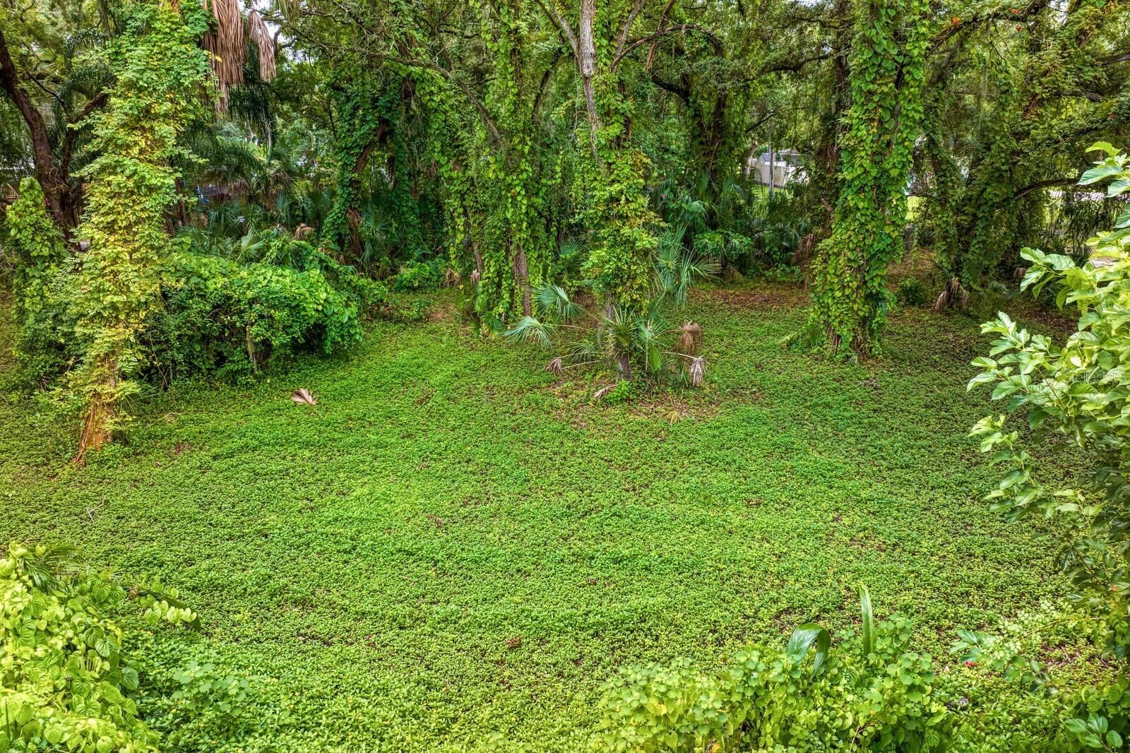 8004 BAY DR, TAMPA, FL, 33635