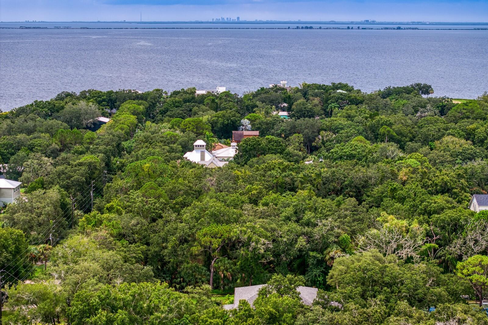 8004 BAY DR, TAMPA, FL, 33635