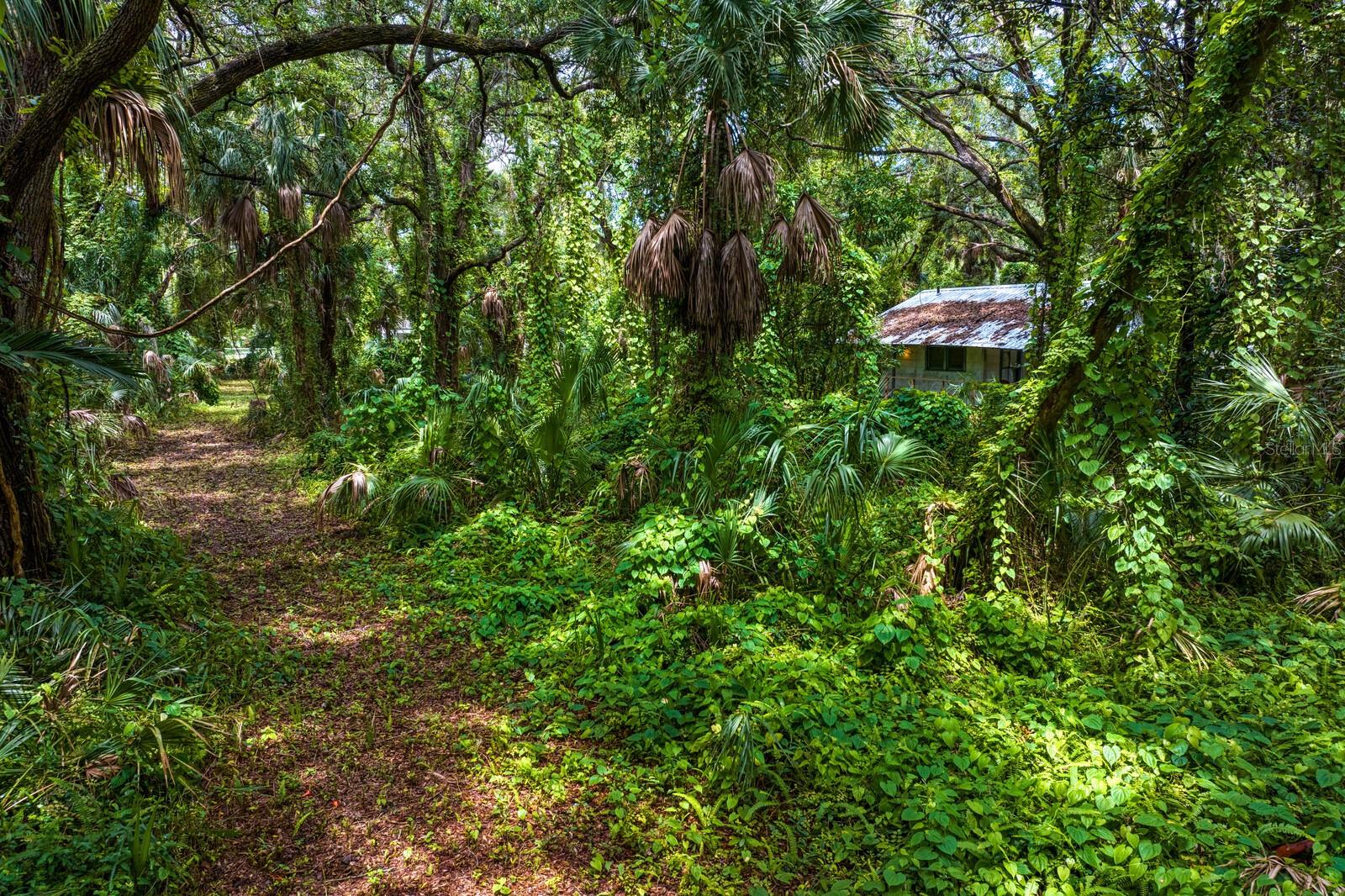 8004 BAY DR, TAMPA, FL, 33635