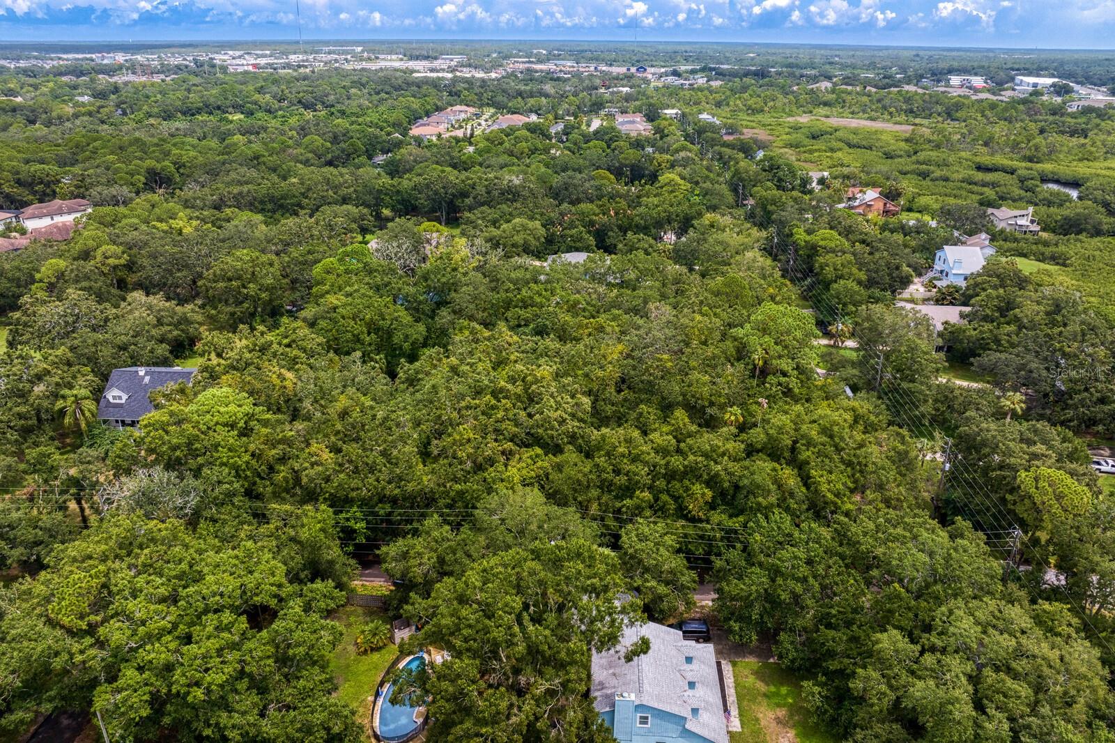 8004 BAY DR, TAMPA, FL, 33635