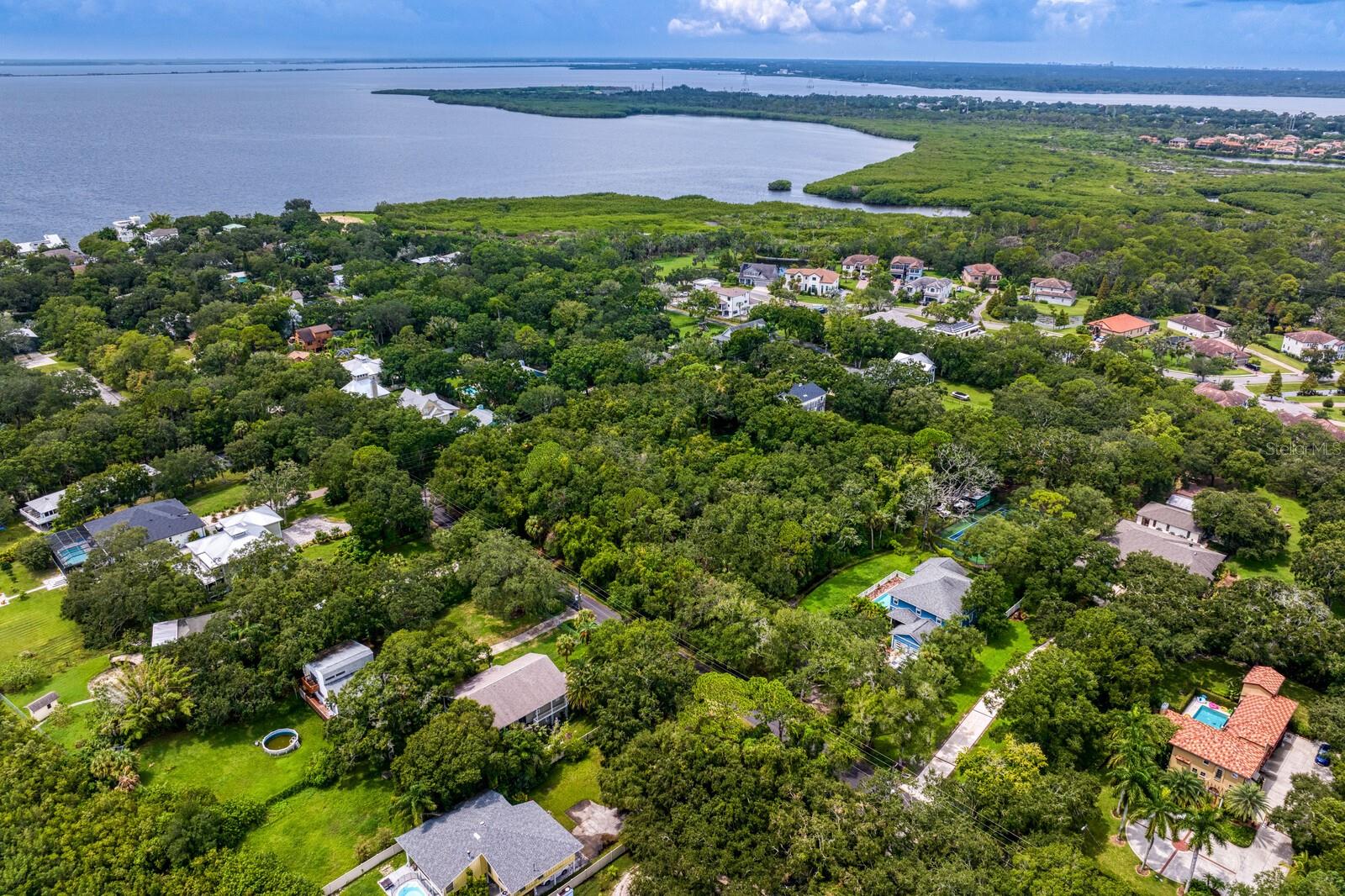 8004 BAY DR, TAMPA, FL, 33635