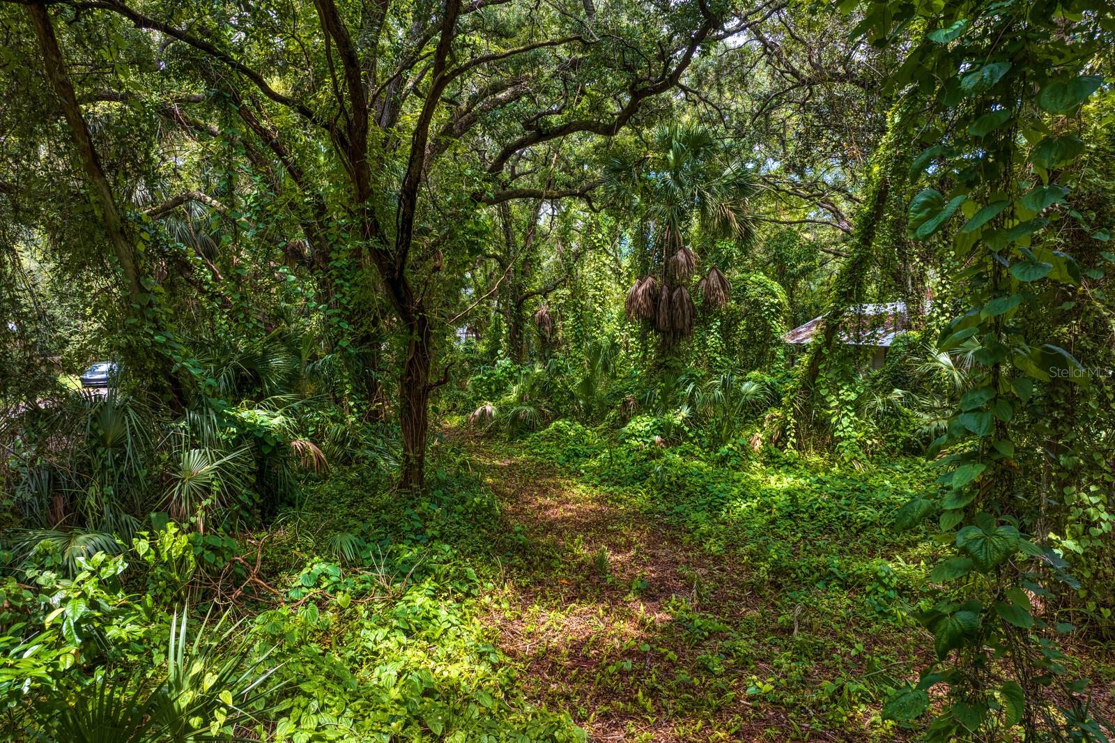 8004 BAY DR, TAMPA, FL, 33635