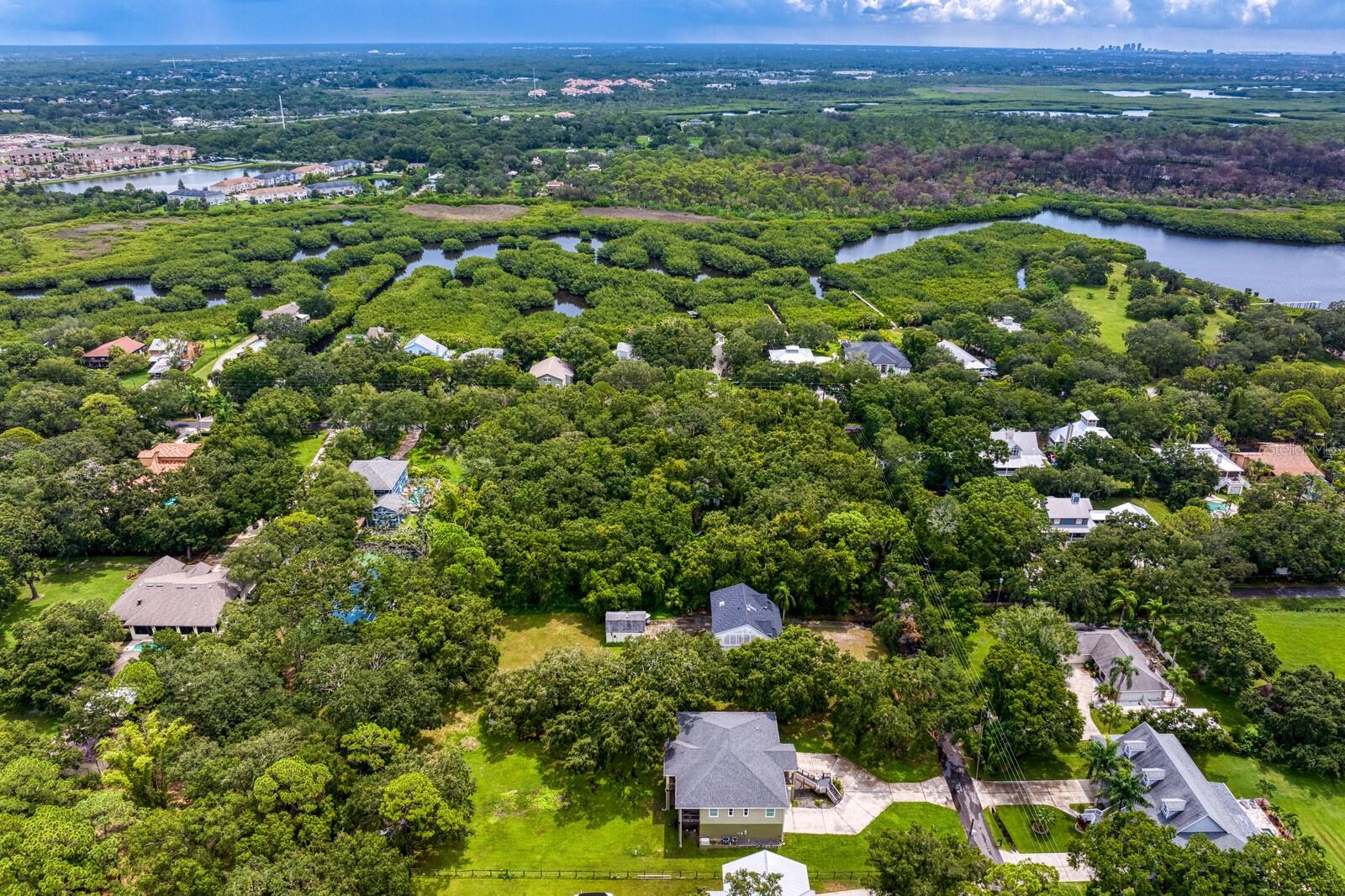 8004 BAY DR, TAMPA, FL, 33635
