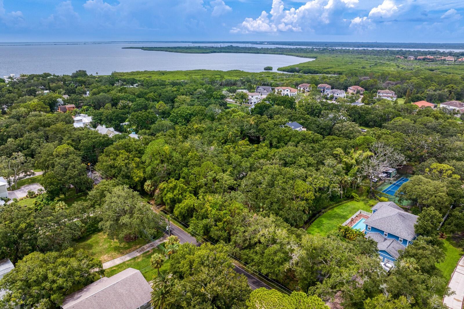 8004 BAY DR, TAMPA, FL, 33635