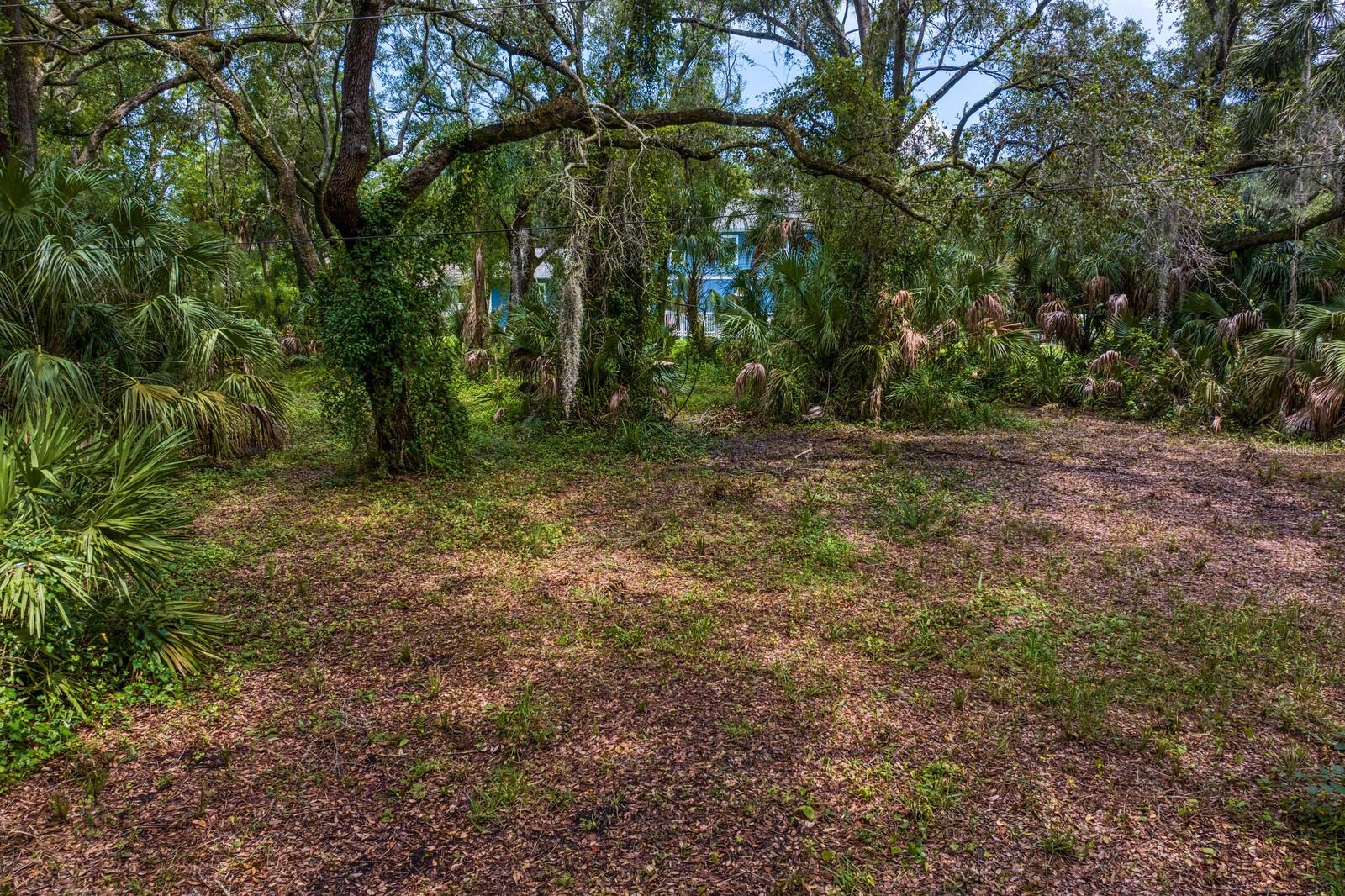 8004 BAY DR, TAMPA, FL, 33635