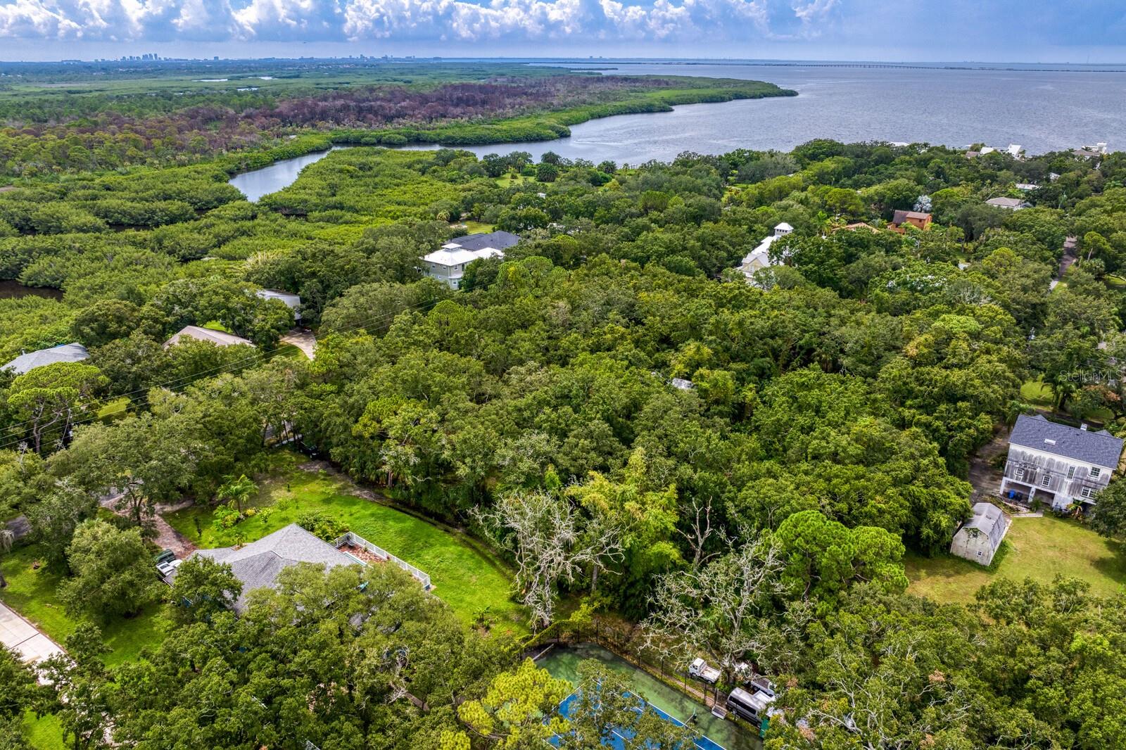 8004 BAY DR, TAMPA, FL, 33635