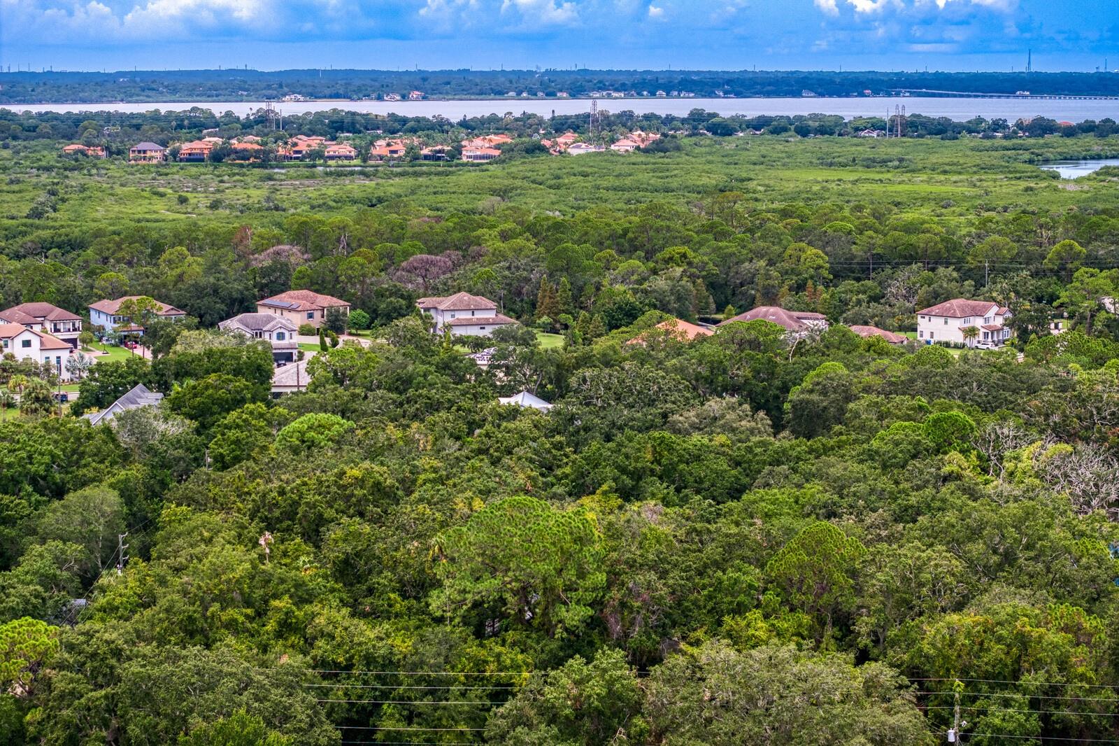8004 BAY DR, TAMPA, FL, 33635