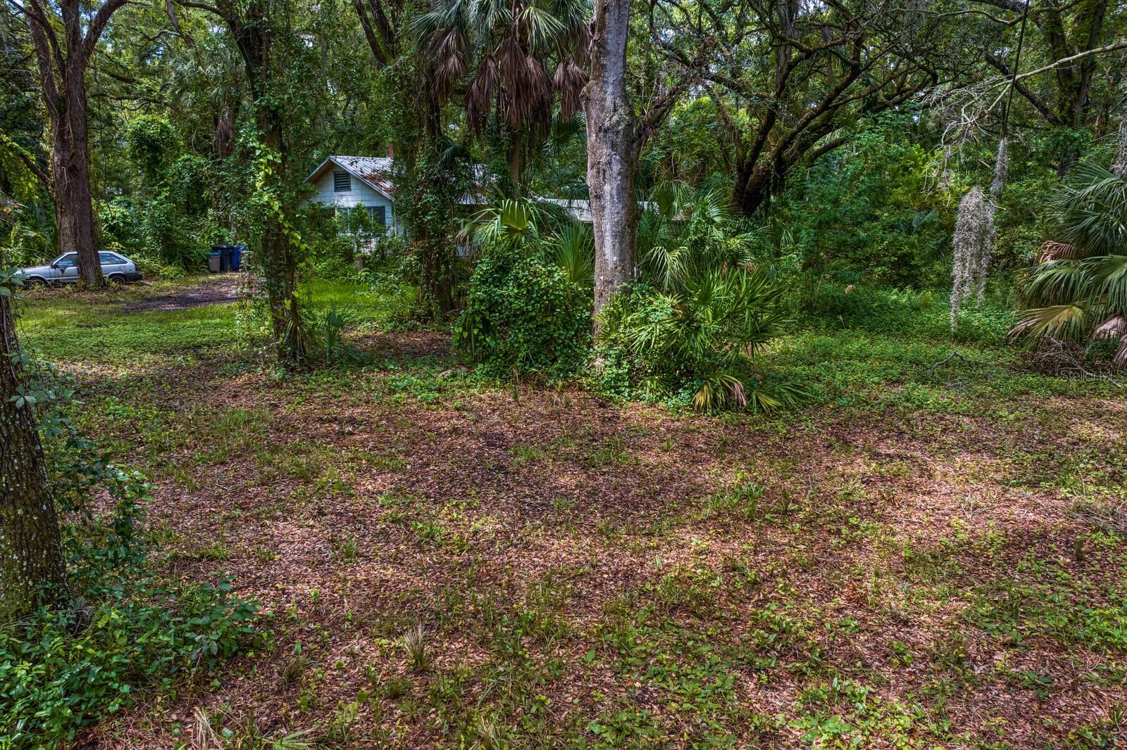8004 BAY DR, TAMPA, FL, 33635