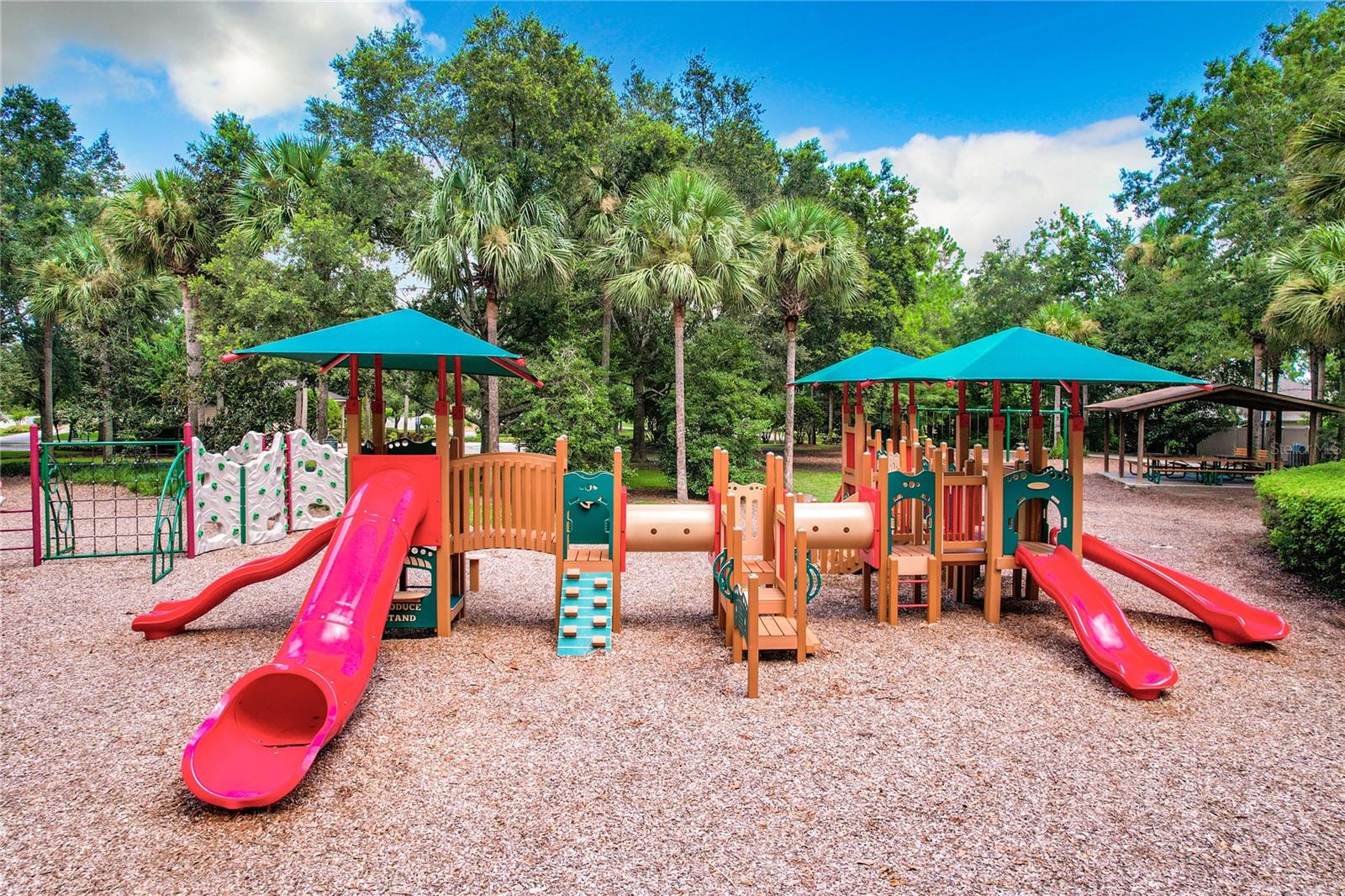 30115 KLADRUBY PT, MOUNT DORA, FL, 32757
