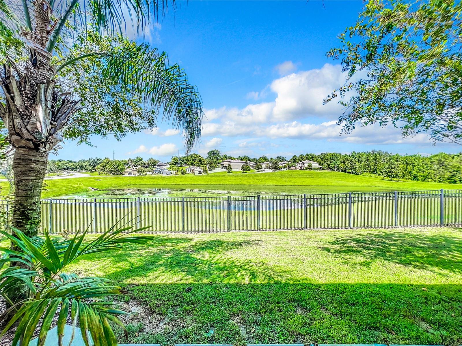 30115 KLADRUBY PT, MOUNT DORA, FL, 32757