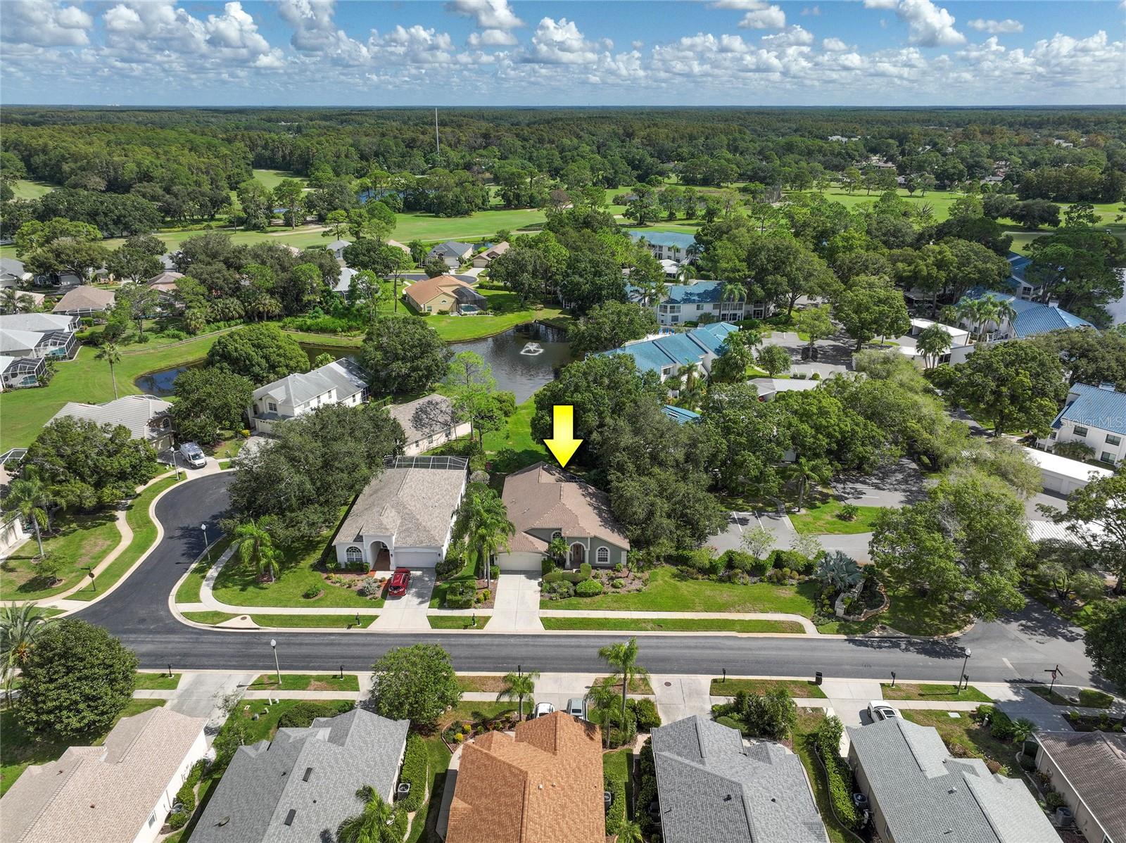 3623 DORAL ST, PALM HARBOR, FL, 34685