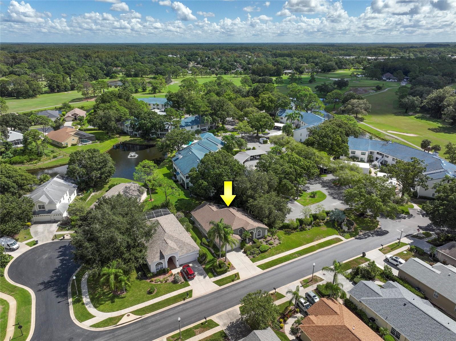 3623 DORAL ST, PALM HARBOR, FL, 34685