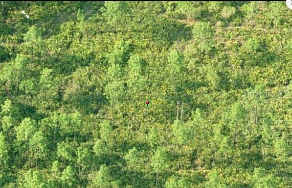 DILL RD, ORLANDO, FL, 32820