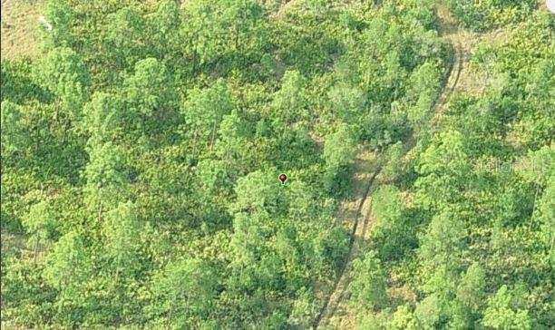 DILL RD, ORLANDO, FL, 32820