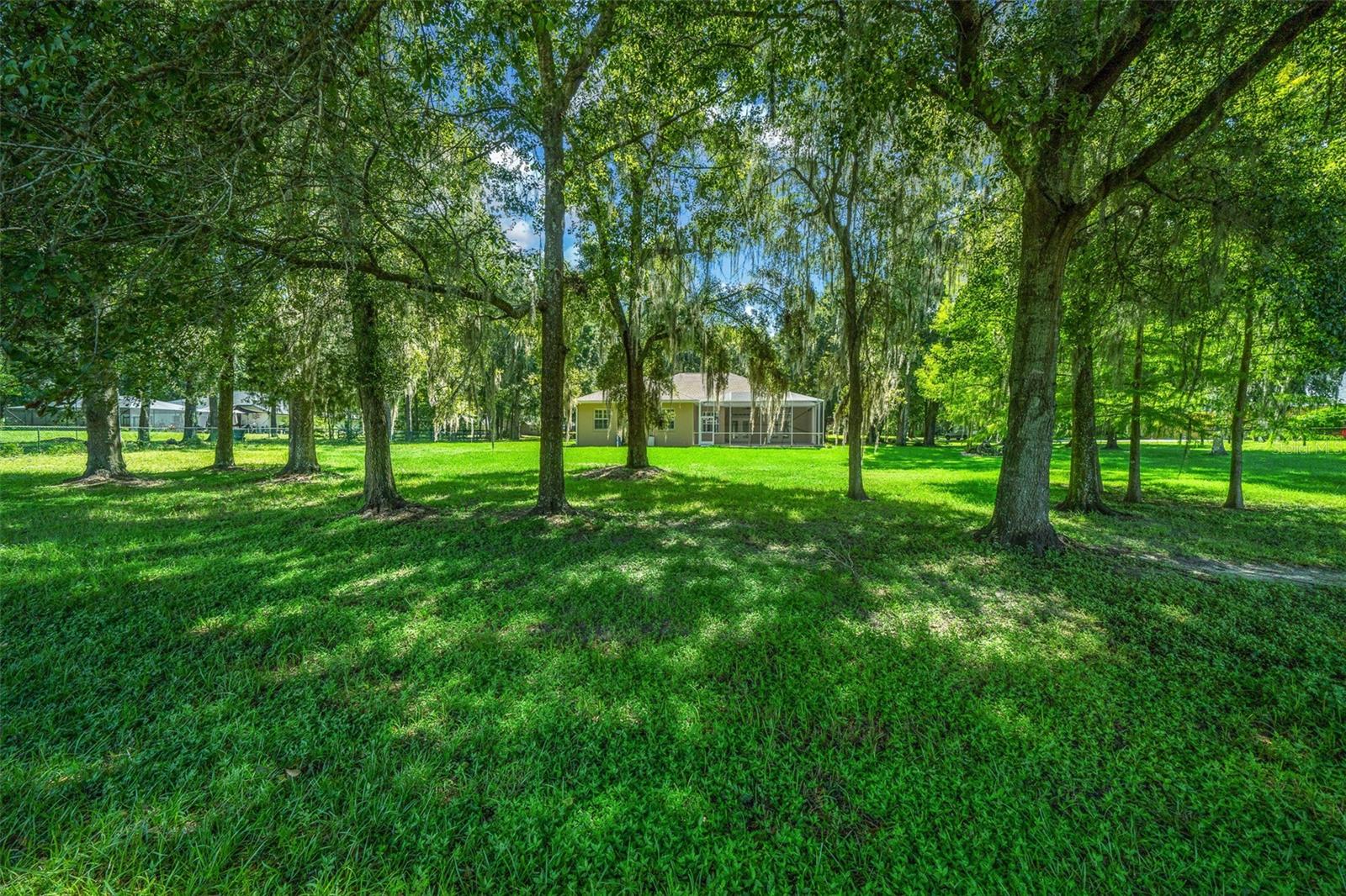 1989 NW 111TH LOOP, OCALA, FL, 34475